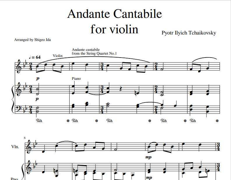 Pyotr Ilyich Tchaikovsky - Andante Cantabile for violin and piano